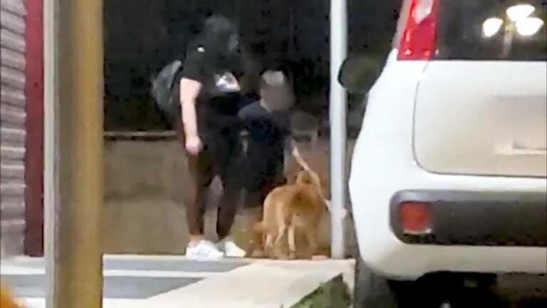 Galleria foto 'Foggia, abbandona il cane tra i pianti del figlio: denunciata – VIDEO' - foto 1