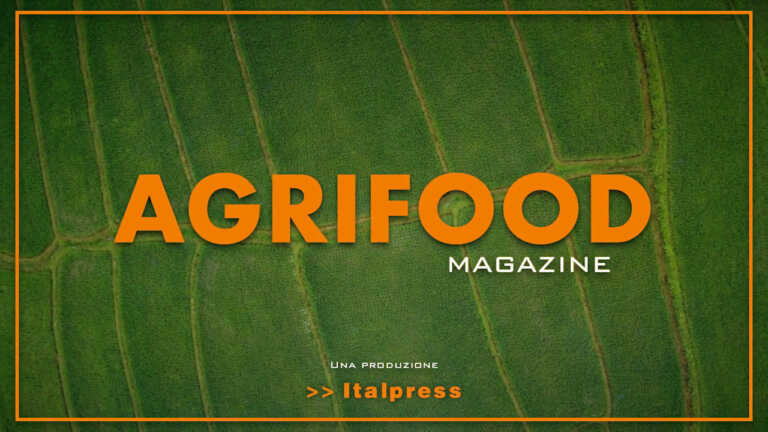 Agrifood Magazine – 6/7/2022