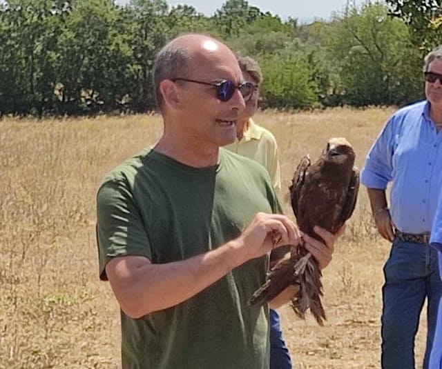 Curati all’osservatorio di Bitetto tornano in libertà 9 animali