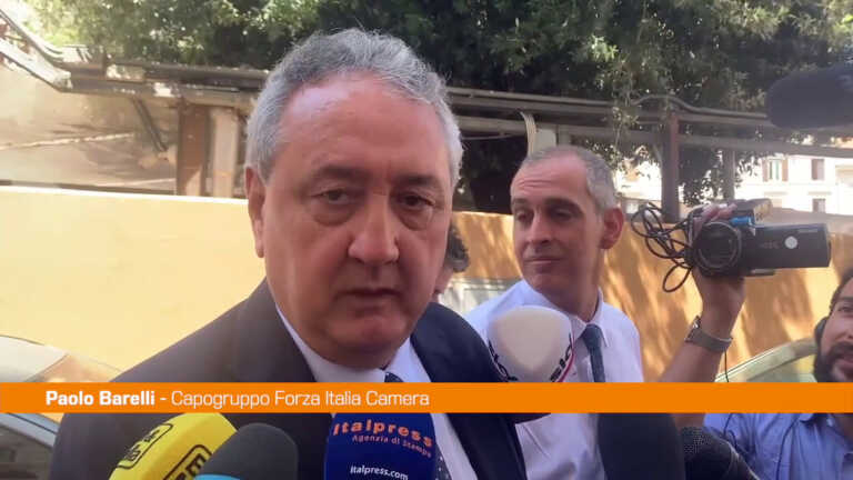 Galleria foto 'Barelli “Forza Italia ha chiesto Draghi bis con nuovo patto”' - foto 1
