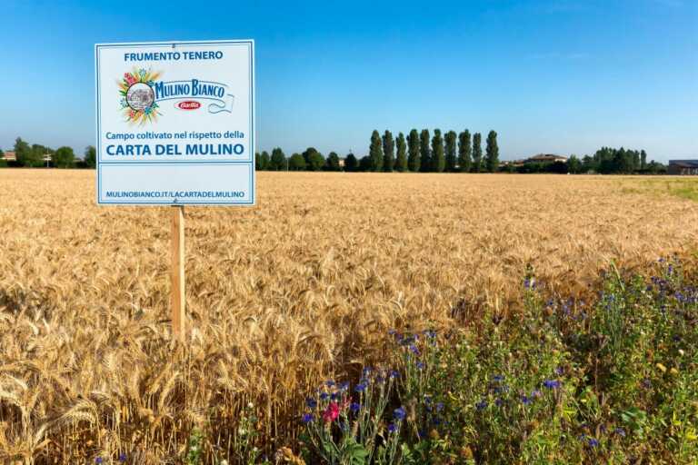 Galleria foto 'Barilla, continua a crescere l’impegno per la sostenibilità' - foto 1