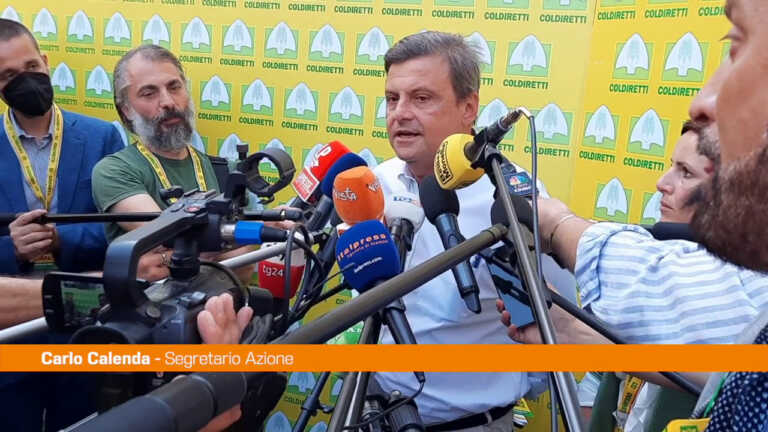 Galleria foto 'Calenda “Rischio che l’Italia scivoli in situazione difficile”' - foto 1