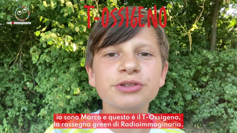 Galleria foto 'Cambiamento climatico, qual è la situazione attuale?' - foto 1
