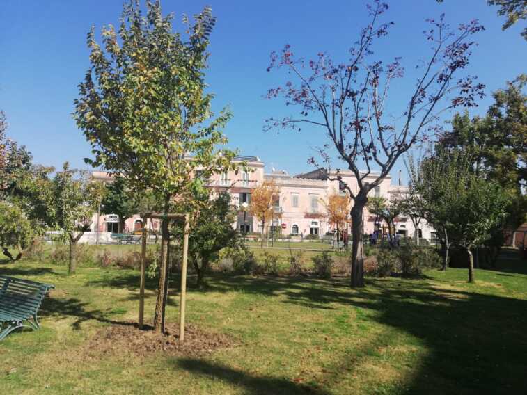 Matera, M5s: «Anche le associazioni cittadine gestiranno le aree verdi»