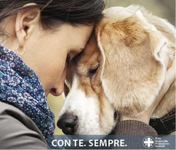 Galleria foto 'Contro l’abbandono di animali in autostrada più controlli in Teem' - foto 1