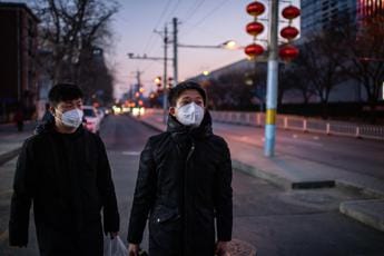 Galleria foto 'Covid partito da animali mercato Wuhan: studi cancellano dubbi' - foto 1