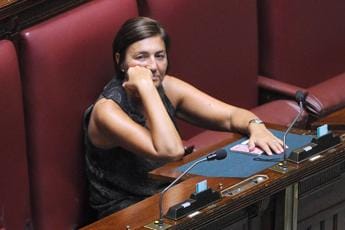 Galleria foto 'Crisi governo, Polverini: “Per sondaggi Meloni premier è ipotesi in campo”' - foto 1