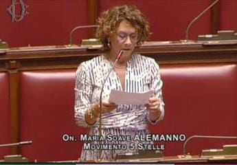Galleria foto 'Crisi governo, Soave Alemanno lascia M5S: “Brutta pagina”' - foto 1