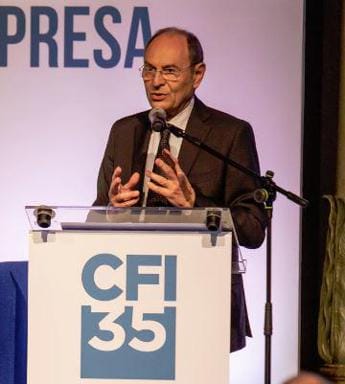 Galleria foto 'De Berardinis (Cfi): “Siamo stati un supporto efficace per superare crisi provocata dal Covid’' - foto 1
