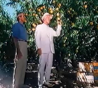 Galleria foto 'E’ morto ‘l’uomo Del Monte’, protagonista degli spot anni ’80 – Video' - foto 1