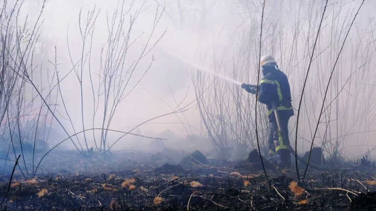 Galleria foto 'Emergenza incendi in tutta Europa' - foto 1
