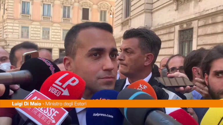 Galleria foto 'Governo, Di Maio “L’agenda riformatrice verrà portata avanti”' - foto 1