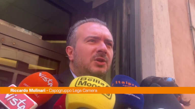 Galleria foto 'Governo, Molinari “Lega indisponibile ad andare avanti con M5S”' - foto 1