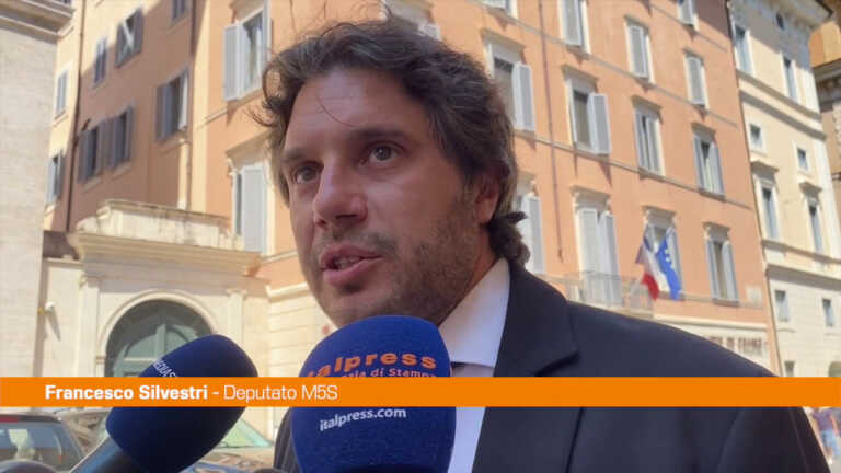 Galleria foto 'Governo, Silvestri “Serve una risposta chiara alle proposte M5S”' - foto 1