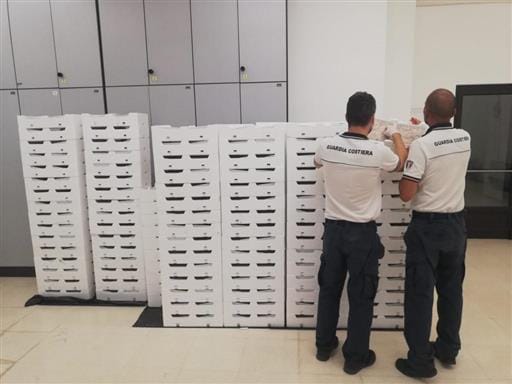 Guardia costiera di Otranto, sequestrati 404 kg di gamberi