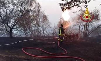 Galleria foto 'Incendi, bruciano ancora Carso e Versilia' - foto 1