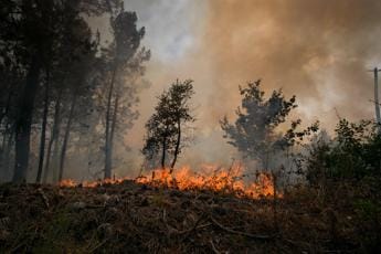 Galleria foto 'Incendi e caldo in Europa, migliaia di evacuati e centinaia di morti' - foto 1