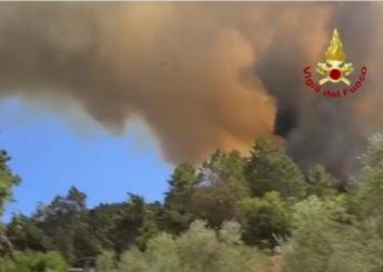 Galleria foto 'Incendio a Massarosa in Versilia, vento rinforza fiamme: evacuate altre famiglie' - foto 1