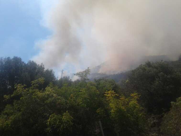 Incendi: 30 ettari bruciati nel Foggiano, altro rogo a Grumo Appula – VIDEO