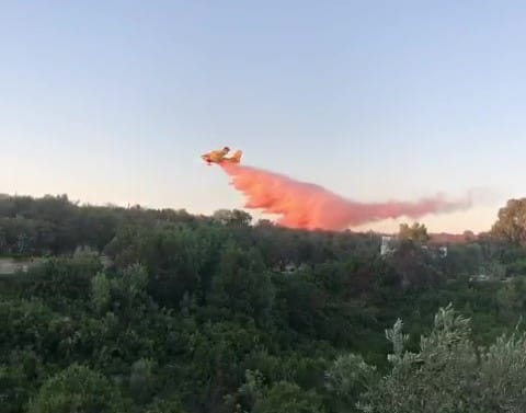 Con il caldo tornano gli incendi in Puglia: distrutti oltre 24 ettari in Salento – VIDEO