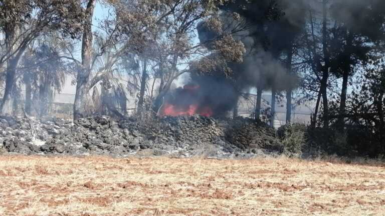 Incendi nel Tarantino e nel Leccese: in fumo quasi 40 ettari – VIDEO