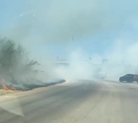 Bruciano sterpaglie alla zona industriale di Bari: fumo invade la strada – VIDEO
