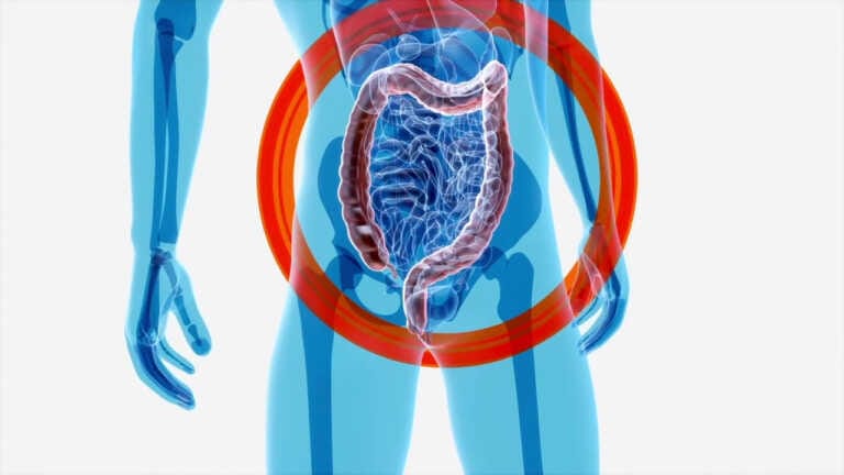 Galleria foto 'Intestino, l’importanza della varietà dei microrganismi' - foto 1