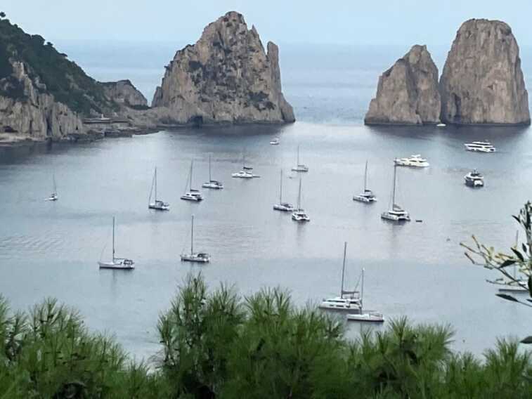 Galleria foto 'Marevivo “A Capri e Anacapri un passo verso l’Area Marina Protetta”' - foto 1