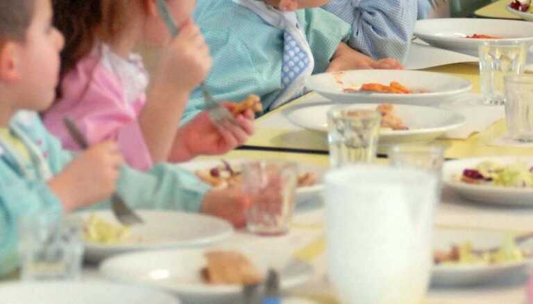 Verso una ristorazione collettiva più sostenibile: il 16 settembre a Bari l’evento dedicato al biologico