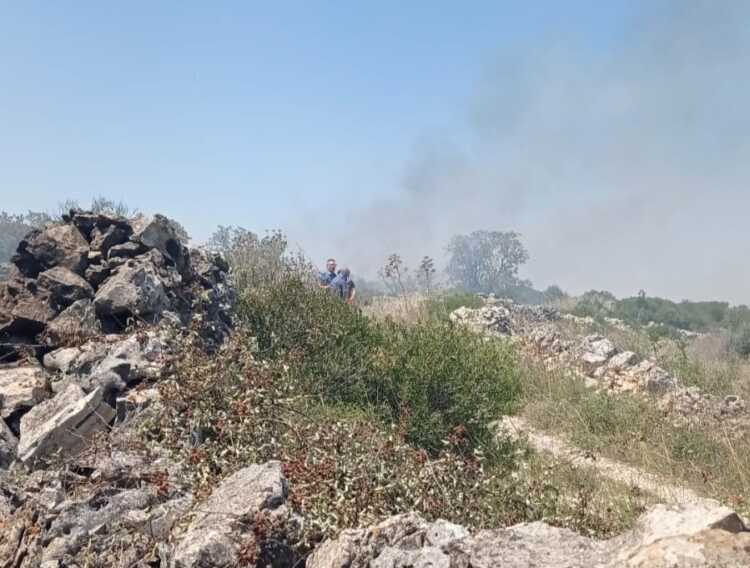 Galleria foto 'Incendio a ridosso del centro abitato a Mottola: bruciati 10 ettari – VIDEO' - foto 1