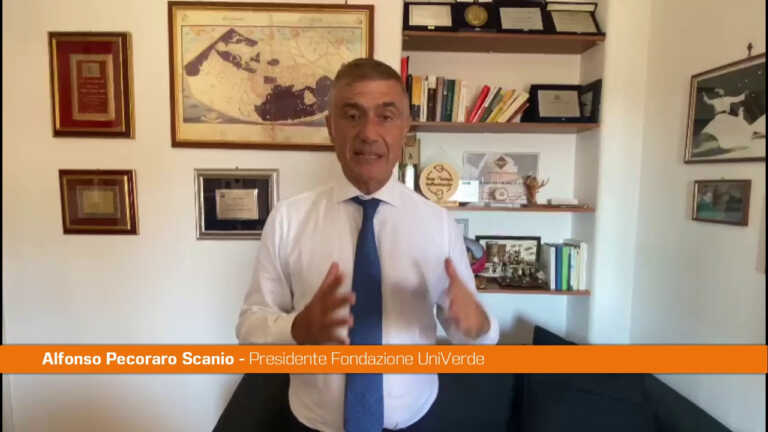 Galleria foto 'Pecoraro Scanio “Conte premier giusto per la transizione Ecodigital”' - foto 1