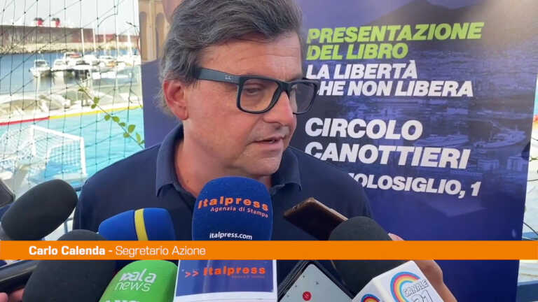 Galleria foto 'Pnrr, Calenda “Nel Mezzogiorno non ci saranno risultati”' - foto 1