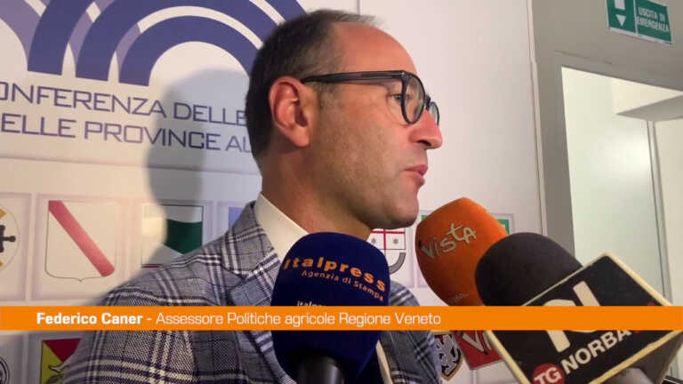 Galleria foto 'Regioni chiedono al Governo intervento urgente su emergenza cinghiali' - foto 1