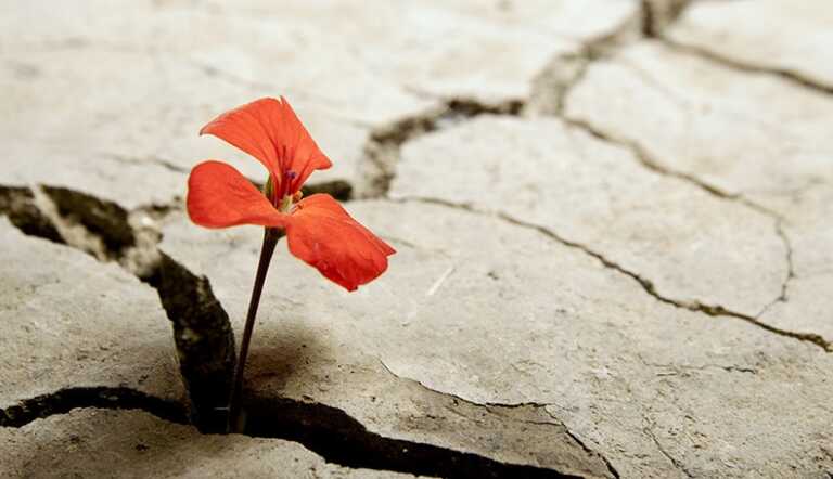 Resilienza? Va bene, ma come?