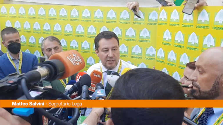 Galleria foto 'Salvini “Dal centrosinistra nervosismo e fake news”' - foto 1