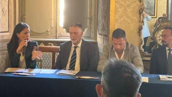 Galleria foto 'Sanità, Ambrosi (Fdi): “Su standard pulizia provincia Trento prima con mia mozione”' - foto 1