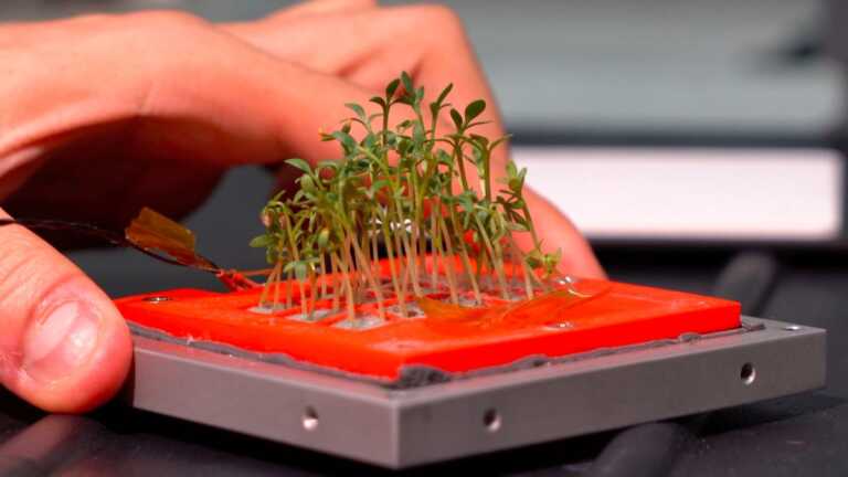 Spazio, lanciato in orbita il primo micro-orto Made in Italy