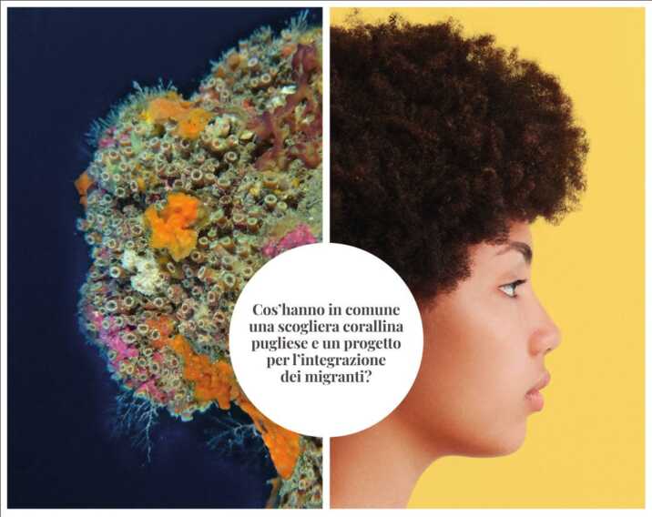 Sapere senza confini: la nuova campagna di comunicazione di UniBa