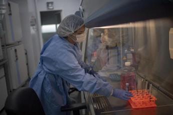 Galleria foto 'Vaiolo scimmie, Oms: “E’ emergenza sanitaria globale”' - foto 1
