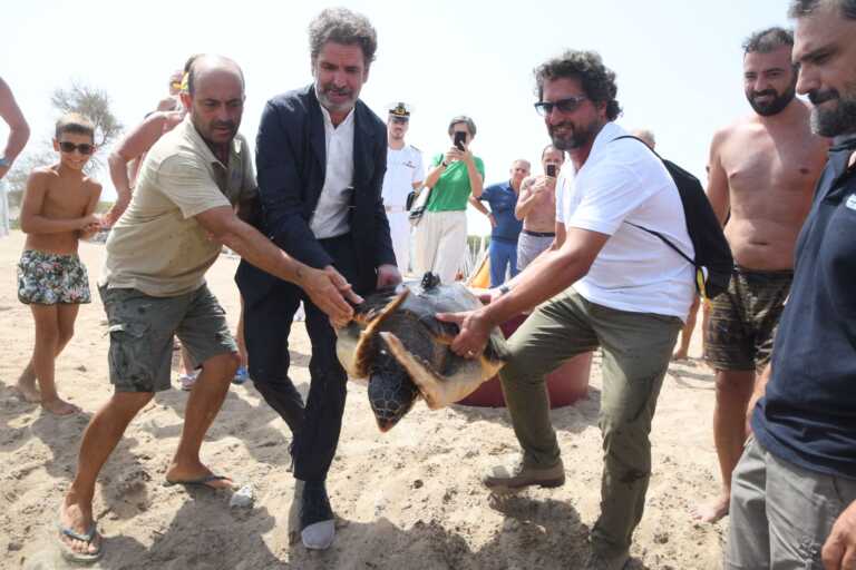 Frigole, tornano in mare due Caretta caretta curate a Torre Guaceto