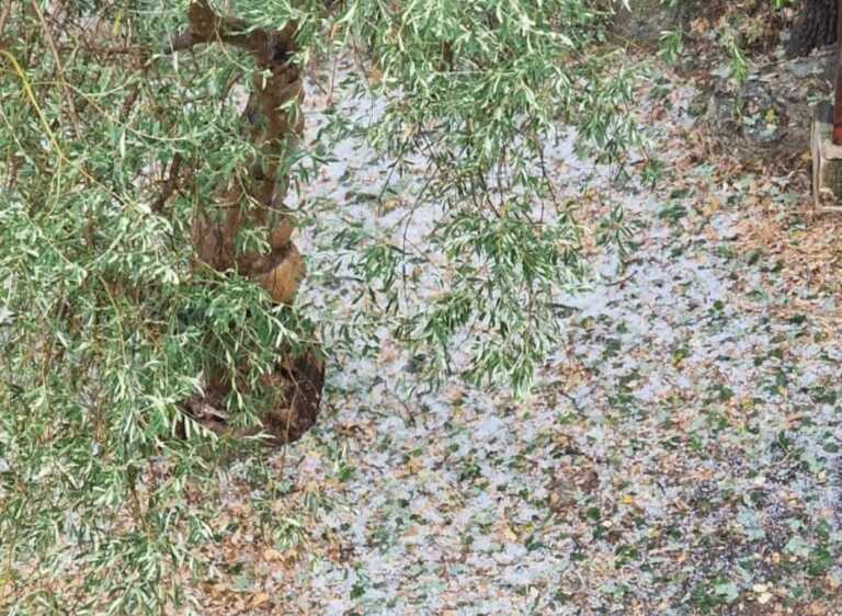 Galleria foto 'Maltempo, in Puglia l’estate peggiore del decennio: eventi estremi aumentati del 1.300%' - foto 1