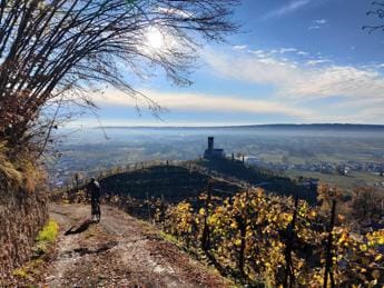 Galleria foto 'A Valdobbiadene nasce il Prosecco Cycling Gravel Contest, prima edizione il 2 ottobre' - foto 1
