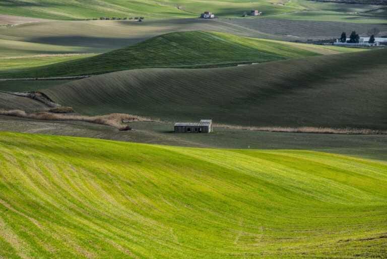 Agricoltura, 74 milioni nel Lazio per anticipi su misure superficie Psr