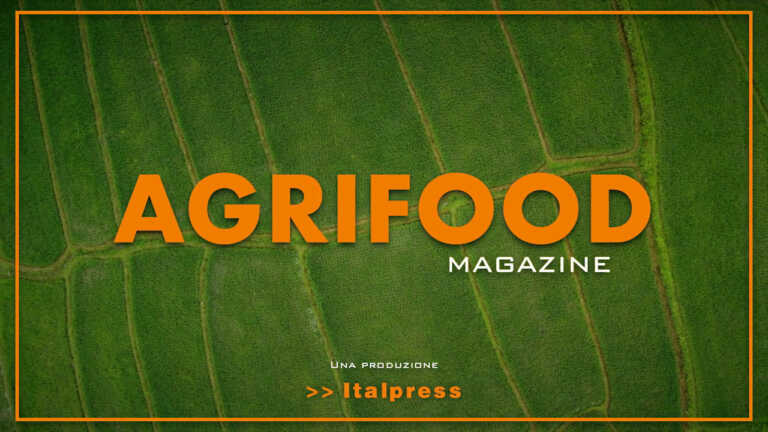 Agrifood Magazine – 24/8/2022