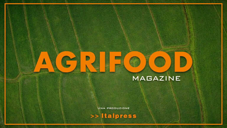 Agrifood Magazine – 31/8/2022