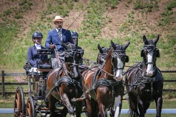 Galleria foto 'Ai Pratoni del Vivaro il Mondiale di attacchi riservato ai tiri a quattro dal 22 settembre' - foto 1