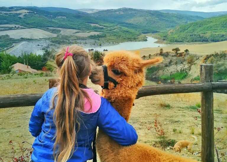 Le Ande “made in Lucania”: la morbida lana di Acerenza