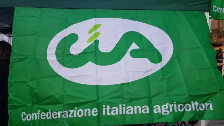 Caro energia, Cia Puglia scrive a Draghi ed Emiliano: «A rischio futuro aziende»