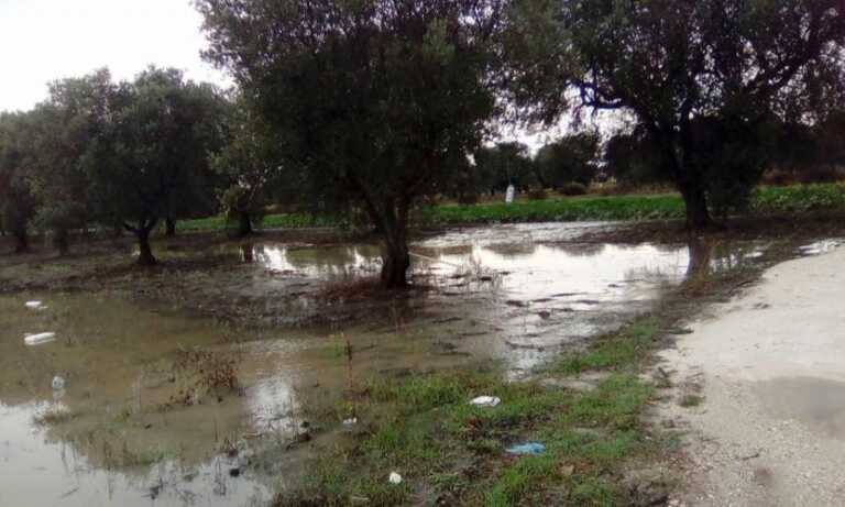 Maltempo: danni per 300 milioni alle colture. L’allarme di Coldiretti Puglia