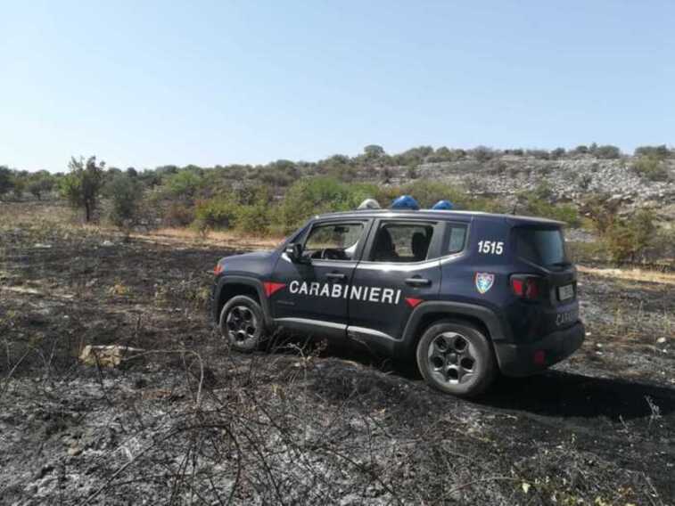 Nel Parco dell’Alta Murgia incendi dimezzati nel 2022